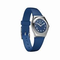 Watch Swatch Woman in Steel YSS309 - YSS309
